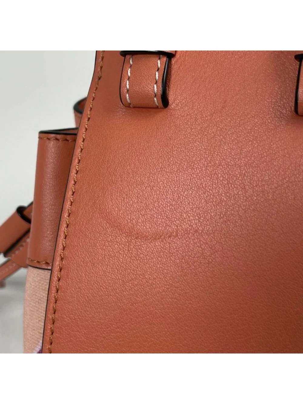 Loewe Handbag Paula's Ibiza Hammock Mini Floral Leather Salmon Pink